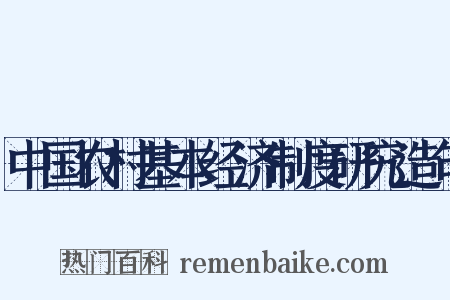 中国农村基本经济制度研究造句是什么意思的图片